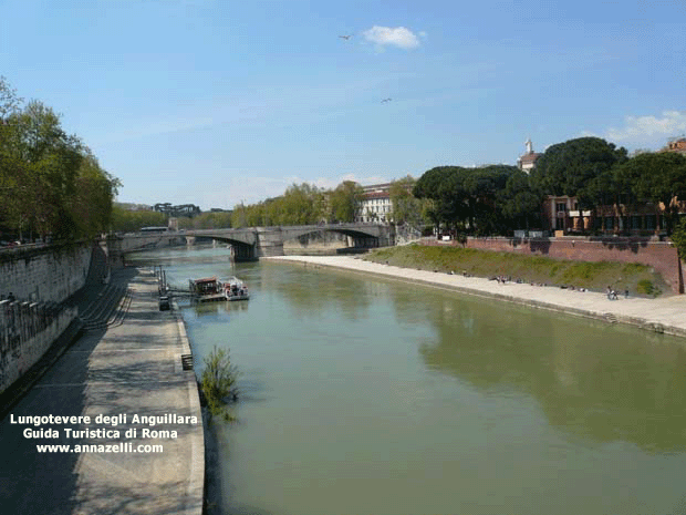 FOTO LUNGOTEVERE DEGLI ANGUILLARA ROMA