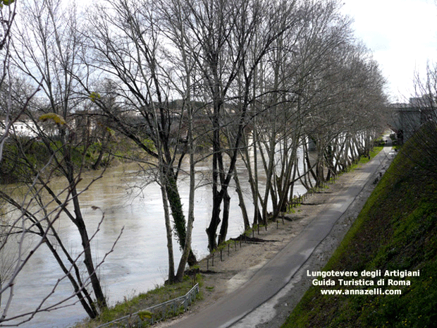 FOTO LUNGOTEVERE DEGLI ARTIGIANI ROMA