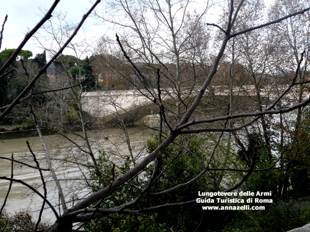 FOTO LUNGOTEVERE DELLE ARMI ROMA