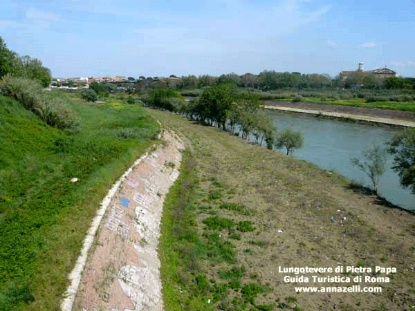 FOTO LUNGOTEVERE PIETRA DI PAPA ROMA