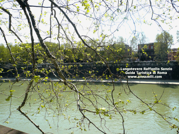 LUNGOTEVERE RAFFAELLO SANZIO ROMA