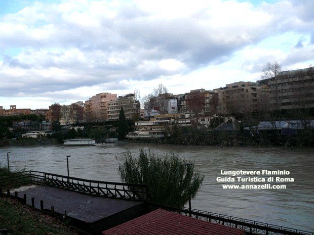 LA FOTO LUNGOTEVERE FLAMINIO ROMA