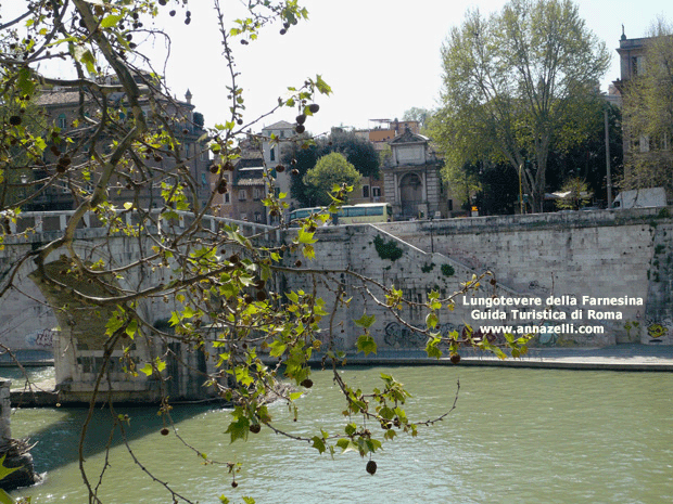 LUNGOTEVERE DELLA FARNESINA A ROMA