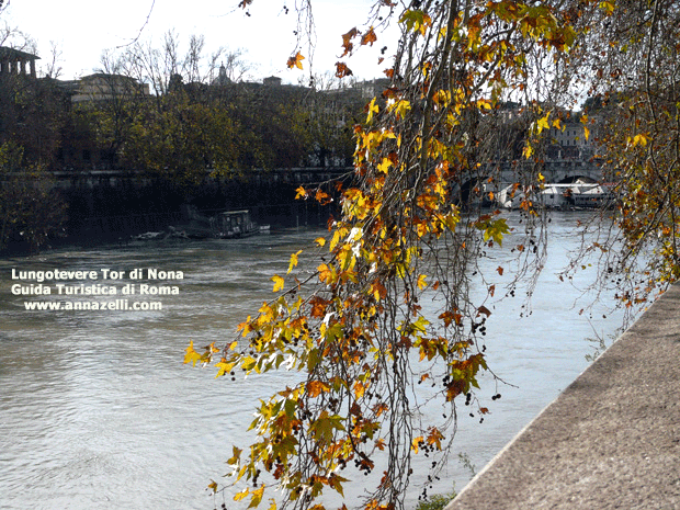 Lungotevere Tor di Nona a Roma