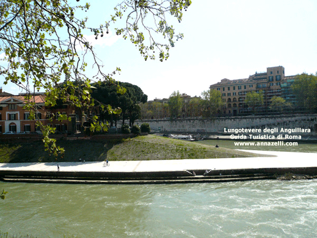 Lungotevere degli Anguillara (Roma)