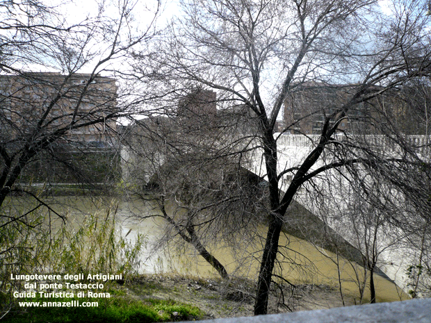 Lungotevere degli Artigiani (Roma)