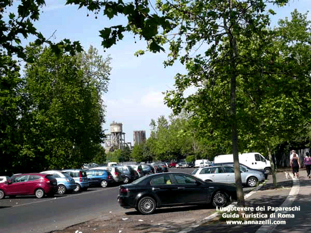 Lungotevere dei Papareschi (Roma)