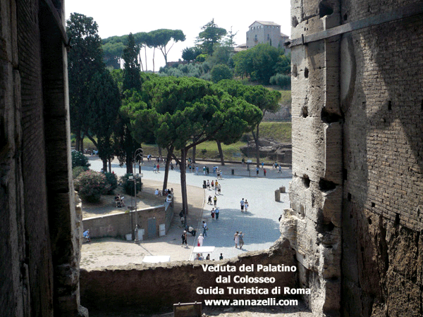 Veduta del Palatino dal Colosseo