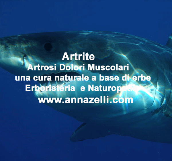 artrite artrosi dolori articolari cura naturale erboristeria