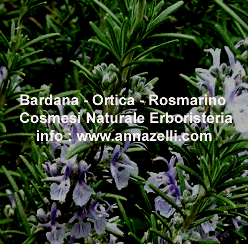 BARDANA, ORTICA, ROSMARINO, COSMESI NATURALE,PIANTE, ERBORISTERIA