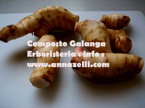 COMPOSTO GALANGA, ERBORISTERIA