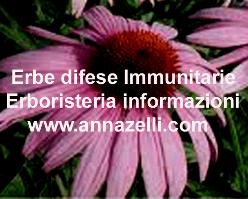 ERBE UTILI DIFESE IMMUNITARIE, ERBORISTERIA