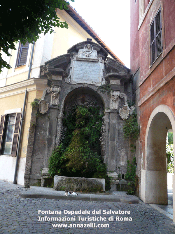 fontana ospedale del salvatore, roma