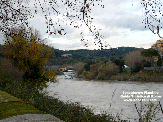 foto del lungotevere flaminio roma