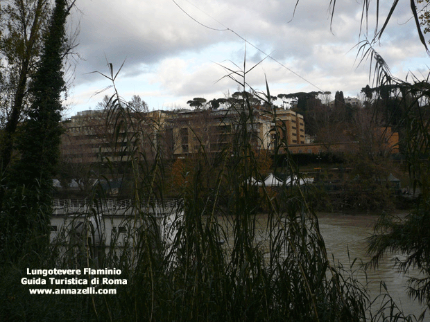 il Lungotevere Flaminio a Roma