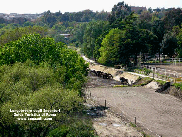 il lungotevere degli inventori roma