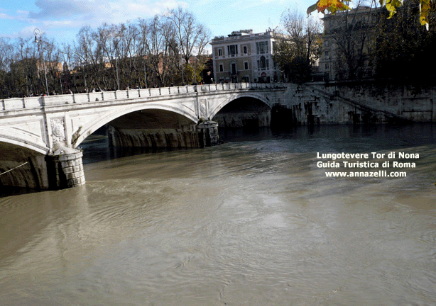 il lungotevere tor di nona a roma