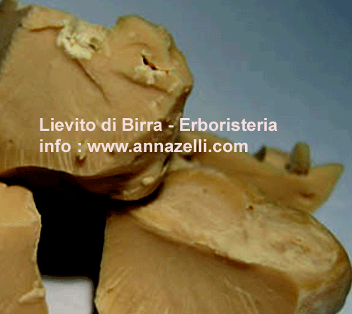 LIEVITO DI BIRRA, FUNGO, ERBORISTERIA