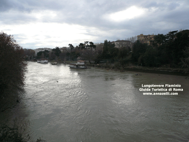 lungotevere flaminio (roma)