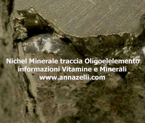 NICHEL NI MINERALE TRACCIA OLIGOELEMENTO ERBORISTERIA