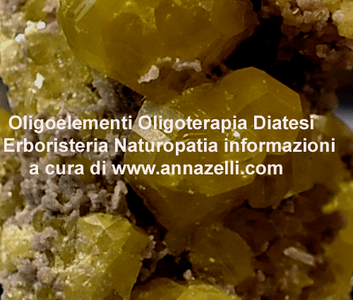 OLIGOELEMENTI,OLIGOTERAPIA,DIATESI,FITOTERAPIA,CURA NATURALE CON LE ERBE, ERBORISTERIA