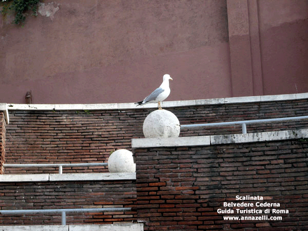 scalinata belvedere cederna via dei fori imperiali roma