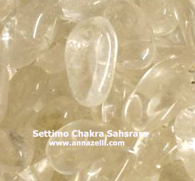 SETTIMO CHAKRA, TESTA, SAHSRARA,FIORE DI BACH