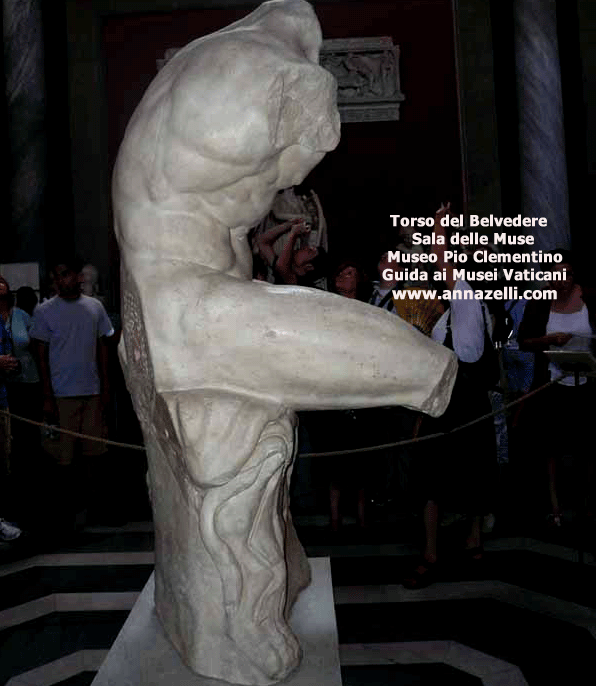 torso del belvedere sala delle muse museo pio clementino (musei vaticani)