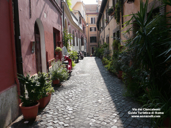 via ciancaleoni roma