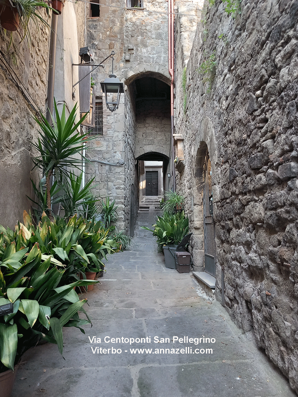 archi via centoponti san pellegrino viterbo centro storico foto info anna zelli