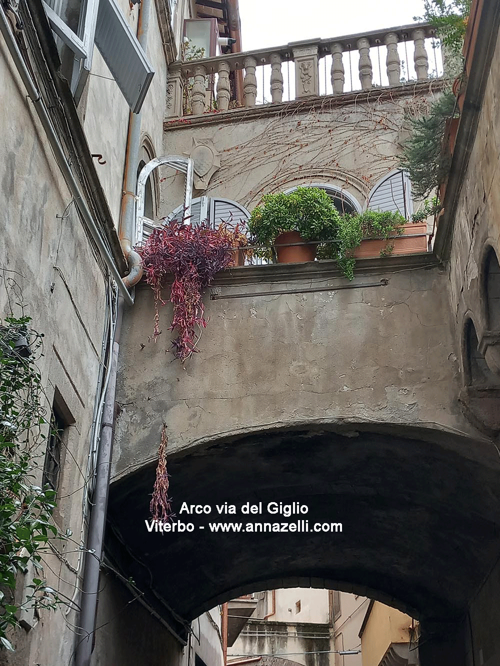 archi e arco casa ponte a via del giglio viterbo centro storico info e foto anna zelli