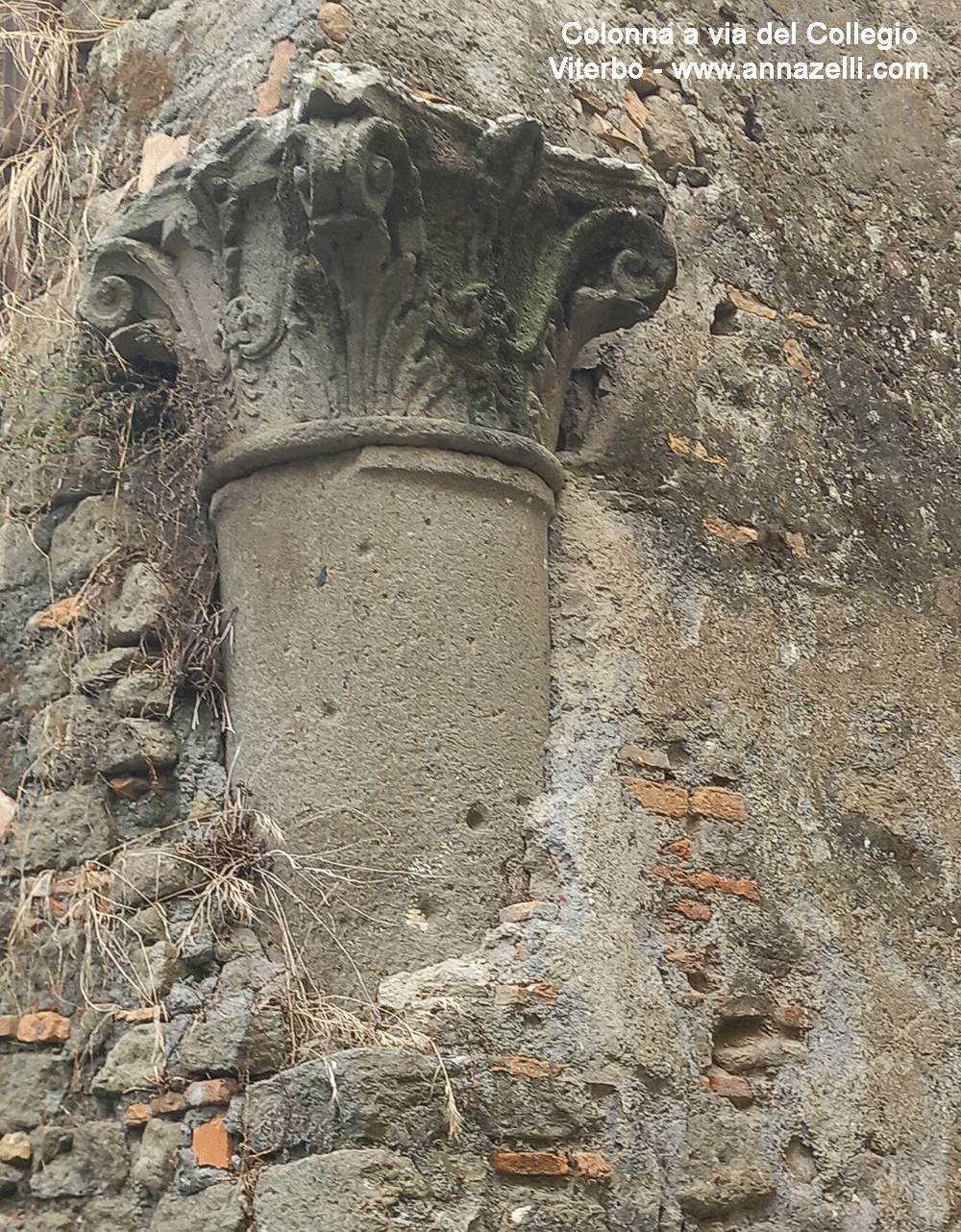 campanile chiesa sant'ignazio viterbo via mario fani veduta da via del collegio