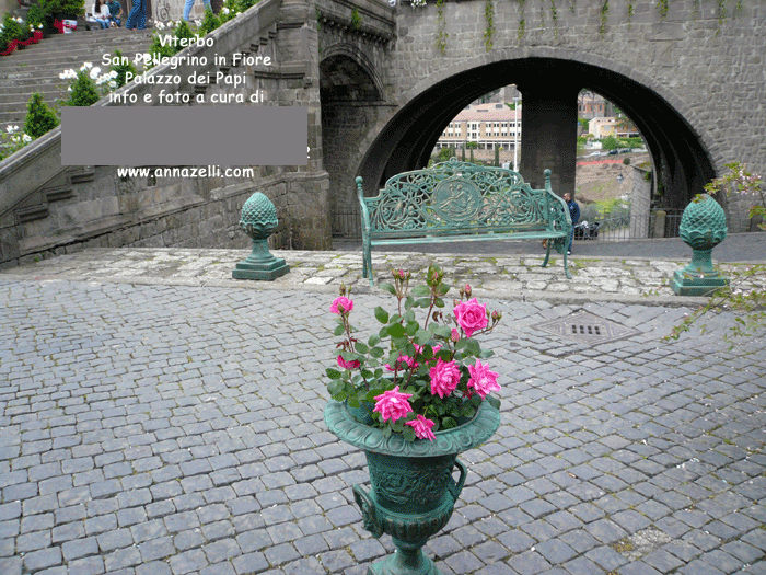 viterbo foto san pellegrino in fiore palazzo dei papi anna zelli 4