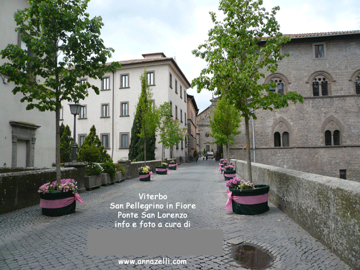 viterbo foto san pellegrino in fiore ponte san lorenzo anna zelli 2