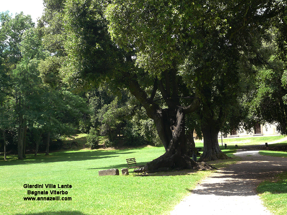 giardini a villa lante a bagnaia viterbo info e foto anna zelli