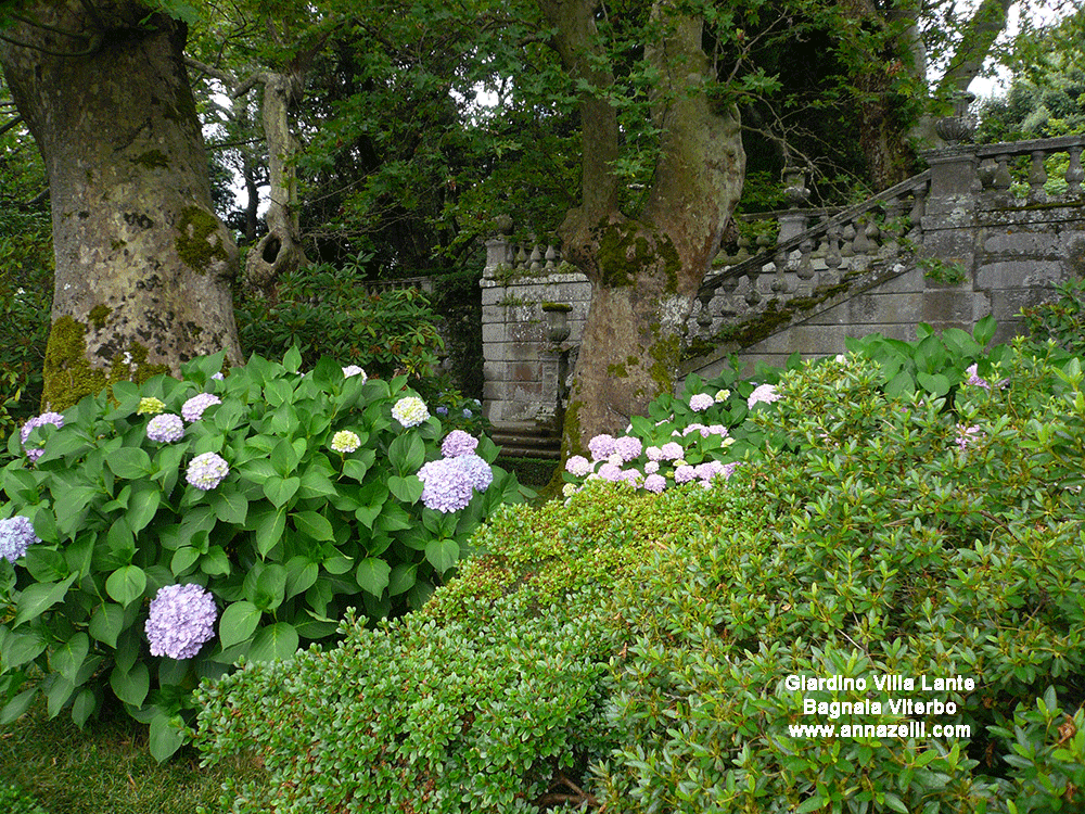 giardino villa lante bagnaia viterbo info e foto anna zelli