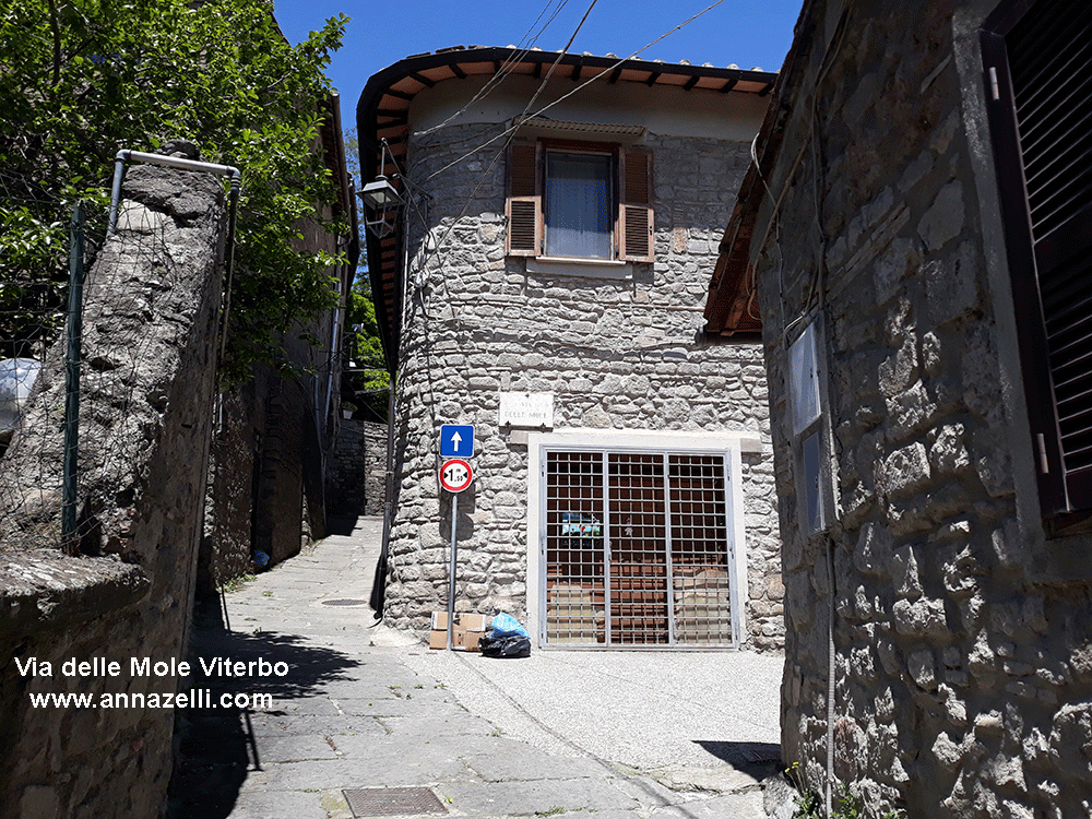 via delle mole pianoscarano viterbo info foto anna zelli