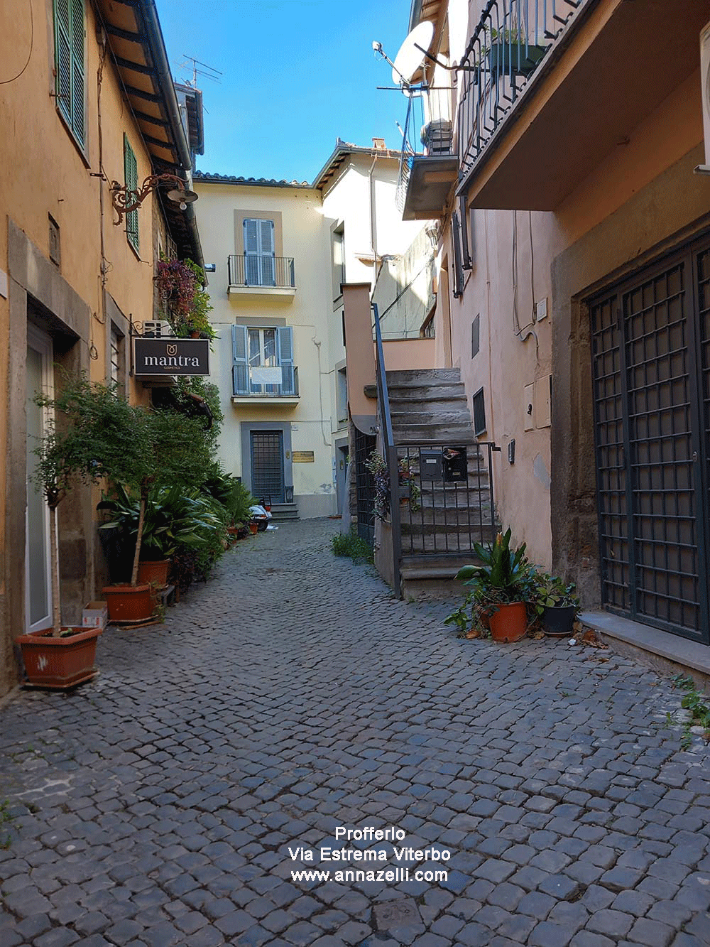 profferlo via estrema viterbo centro storico info e foto anna zelli