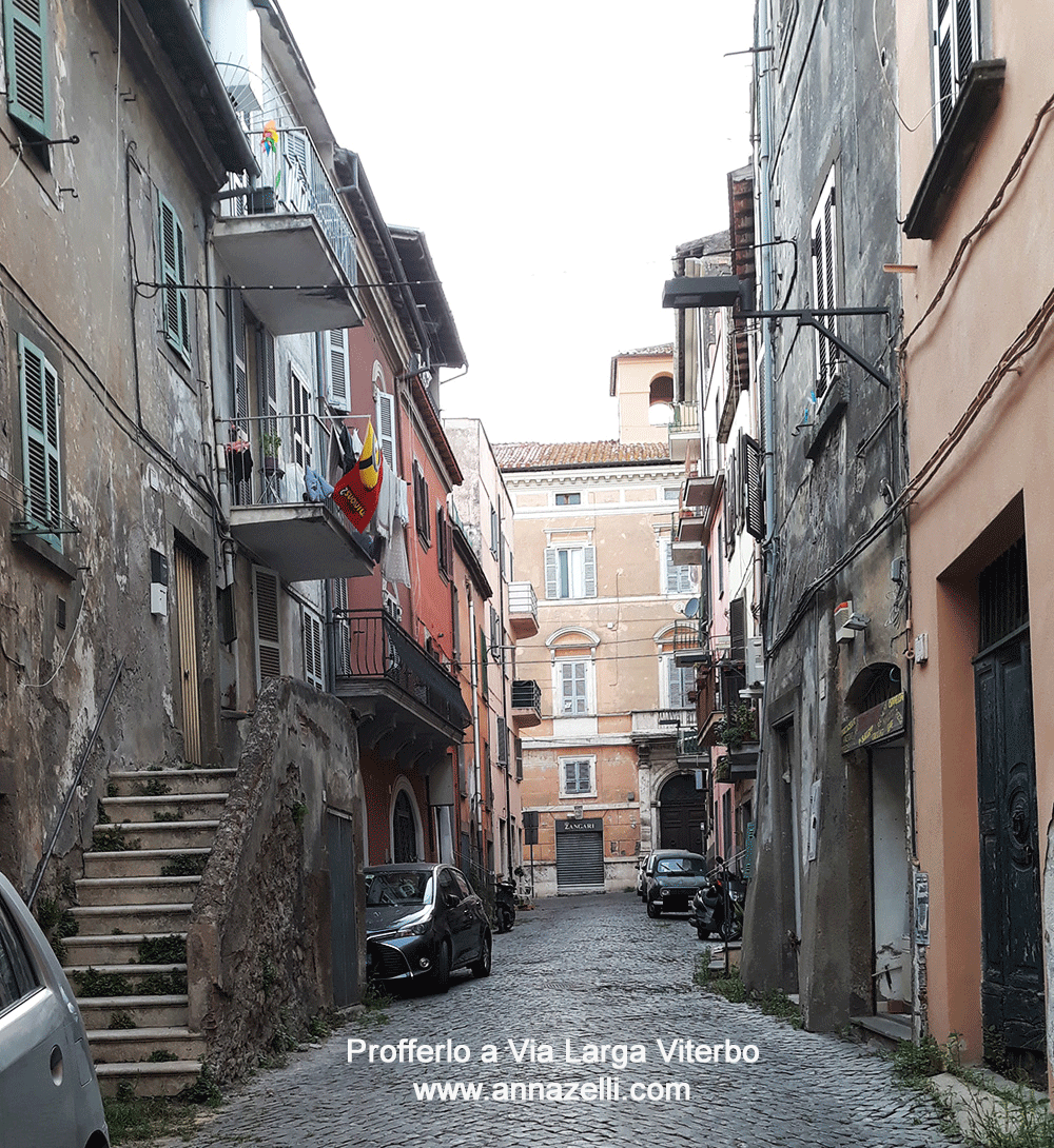 profferlo a via larga viterbo centro storico