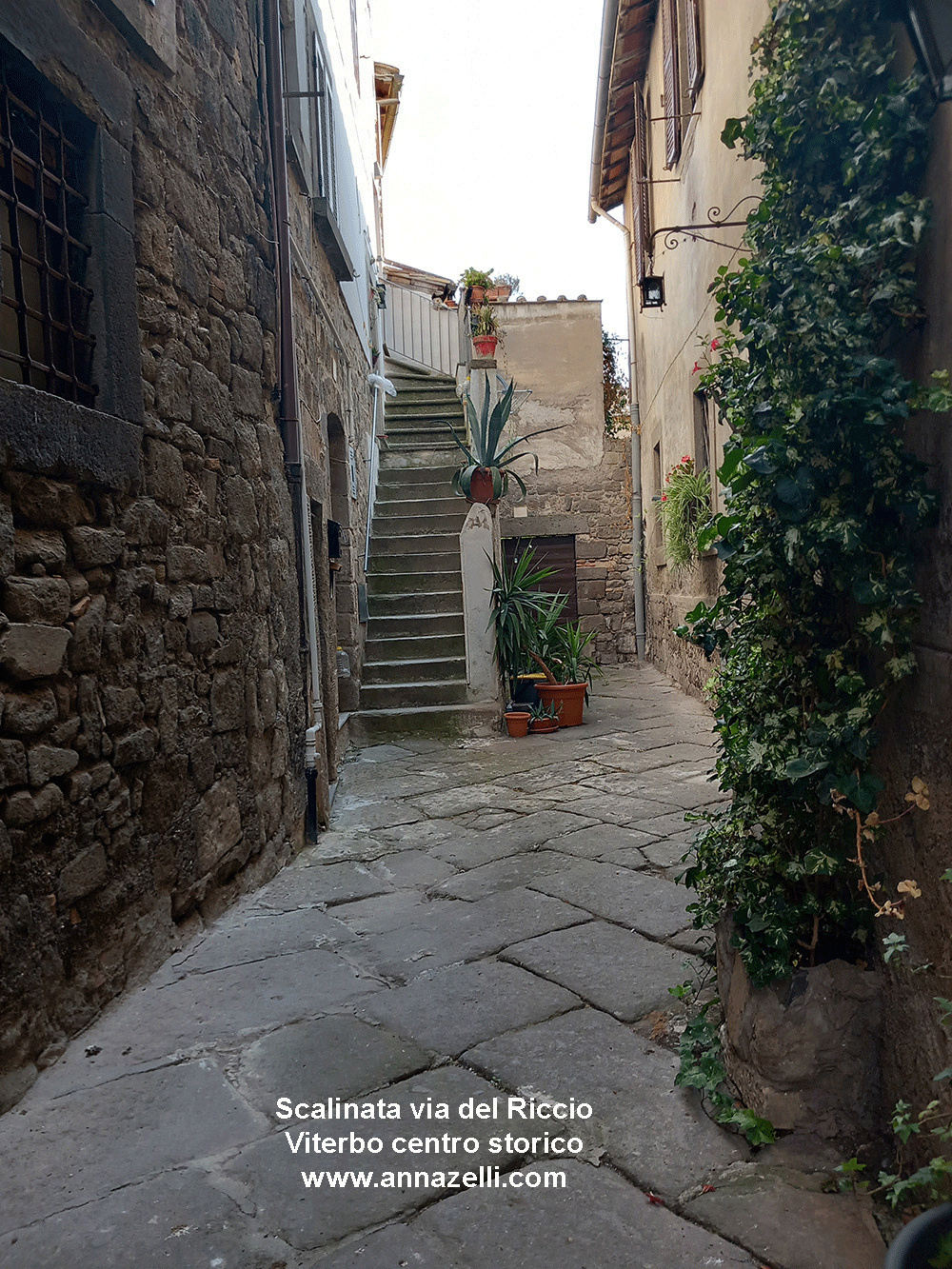 scalinata via del Riccio viterbo centro storico info foto anna zelli