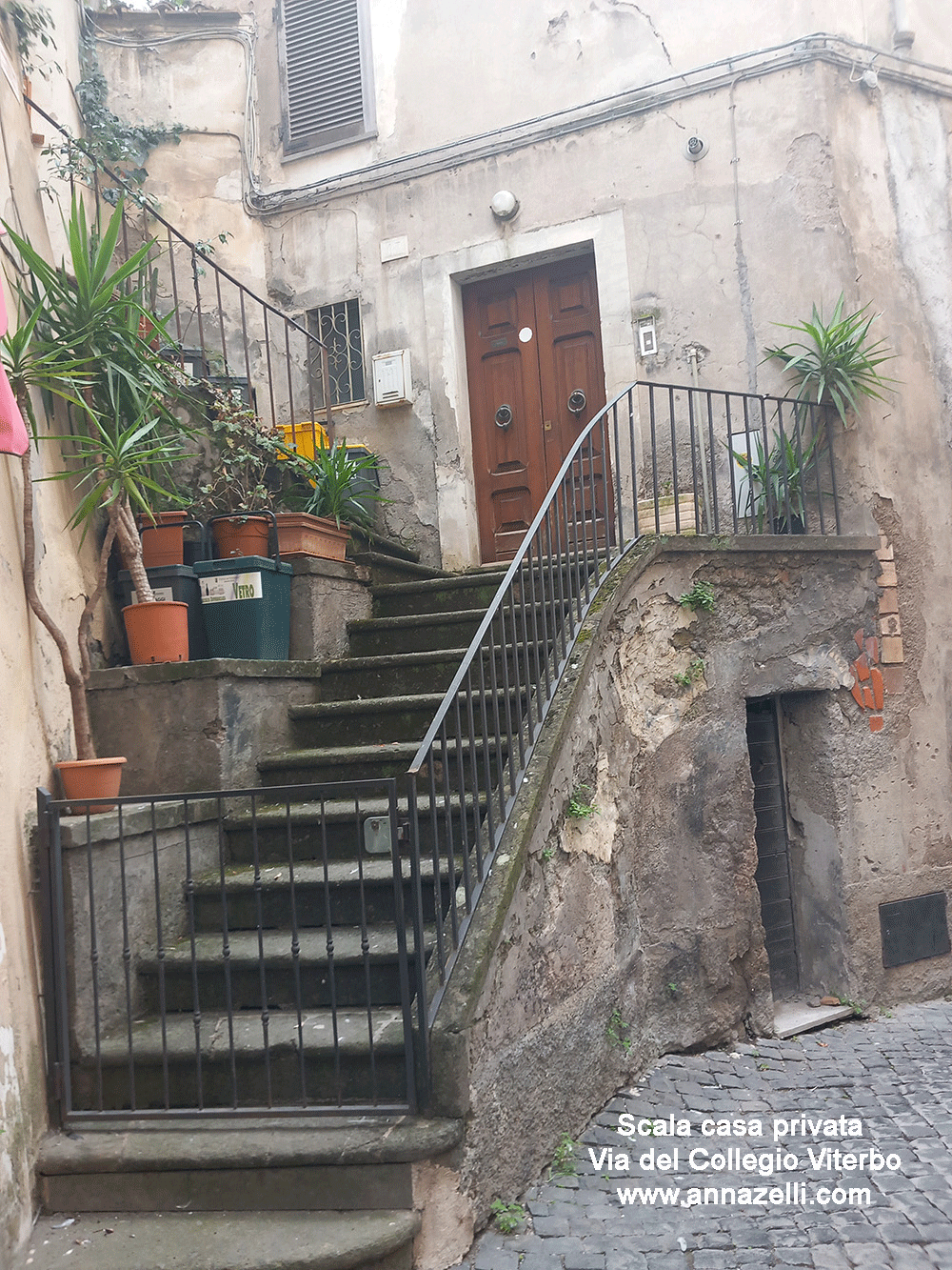 scala casa privata via del collegio viterbo info e foto anna zelli