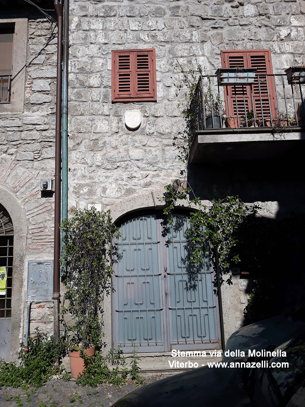 stemma via della molinella viterbo info e foto anna zelli