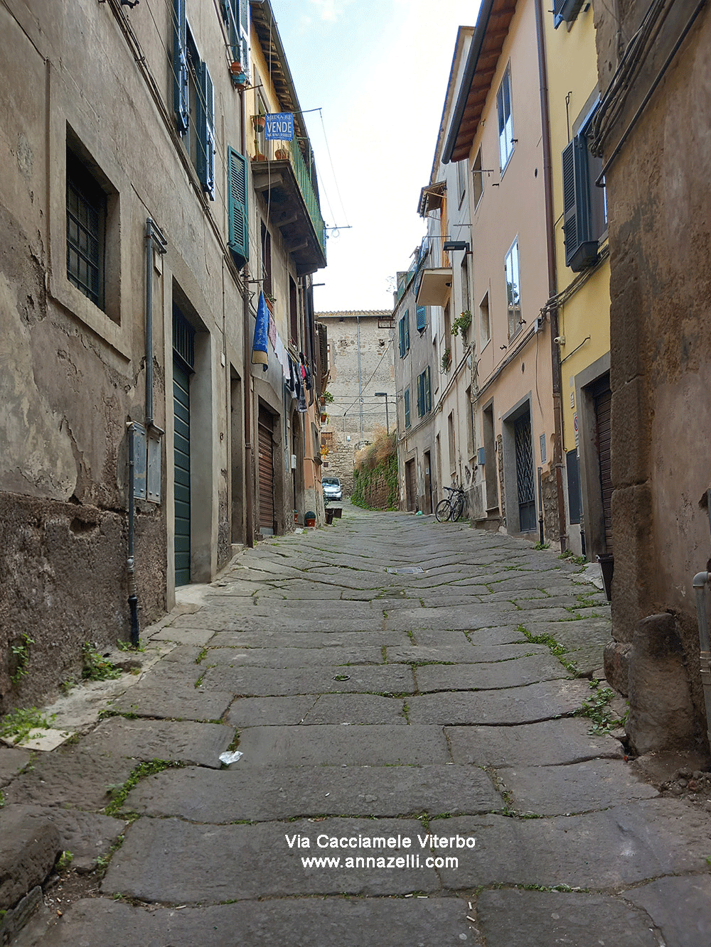 via cacciamele viterbo centro storico info e foto anna zelli