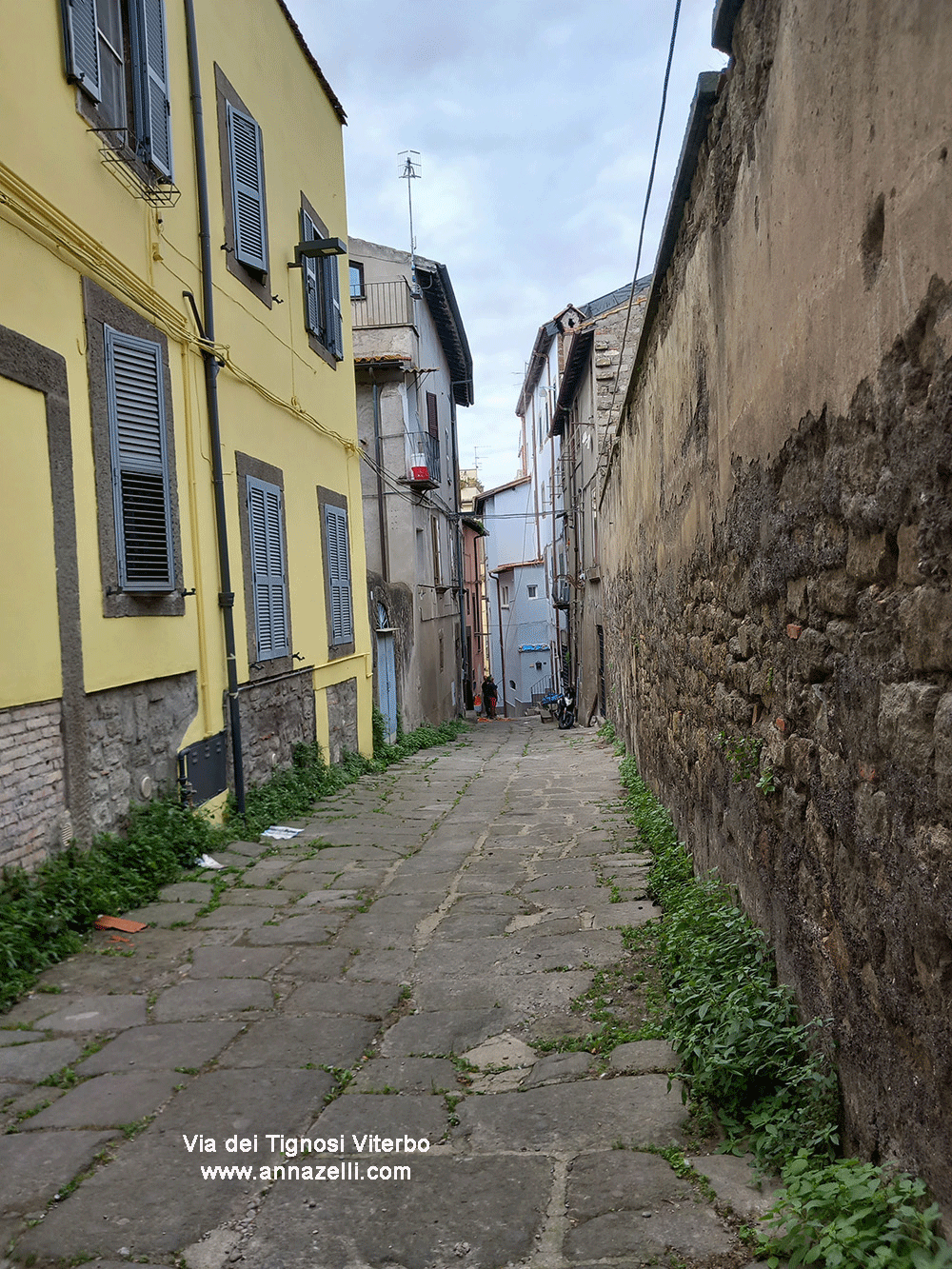 via dei tignosi viterbo centro storico info e foto anna zelli