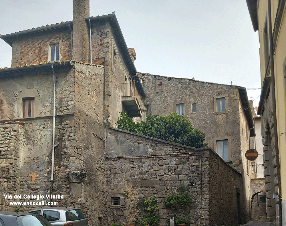 via del collegio viterbo info e foto anna zelli