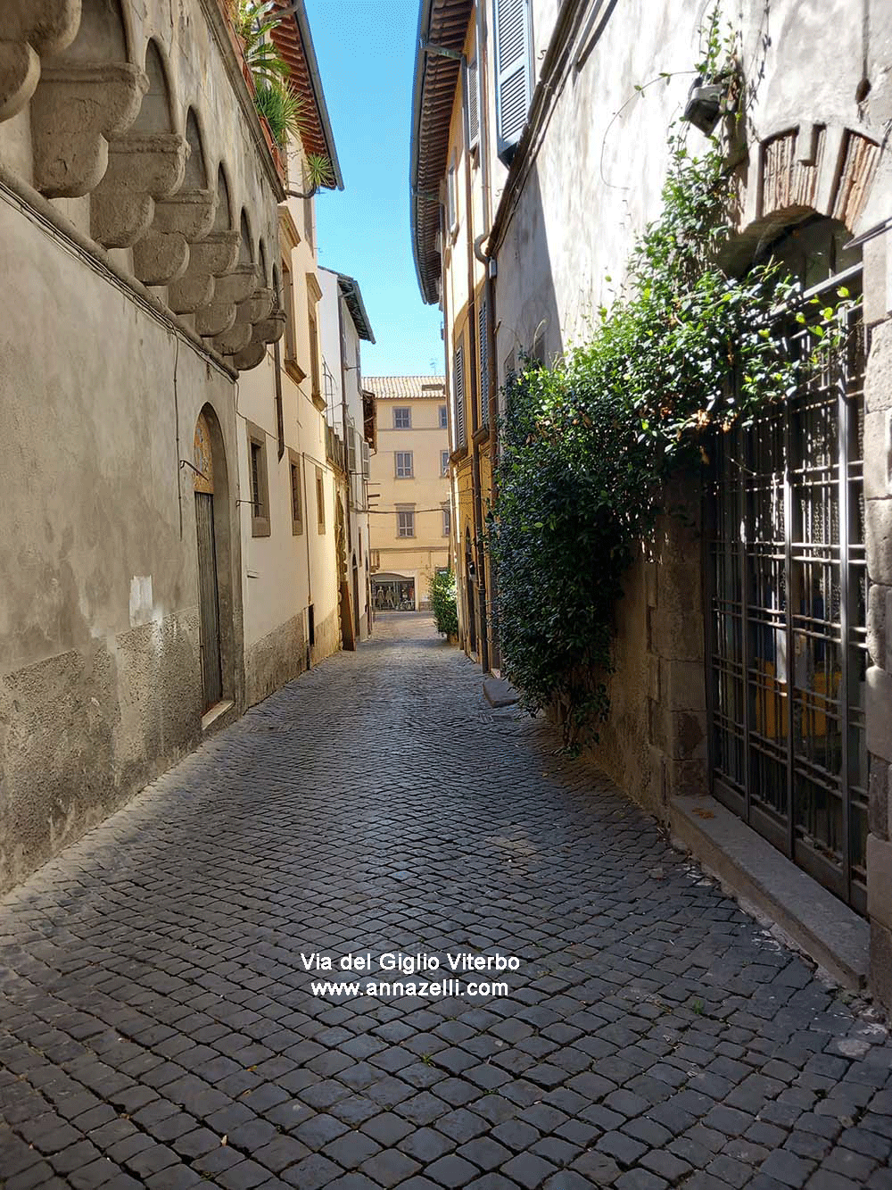 via del giglio viterbo centro traversa via mazzini info e foto anna zelli