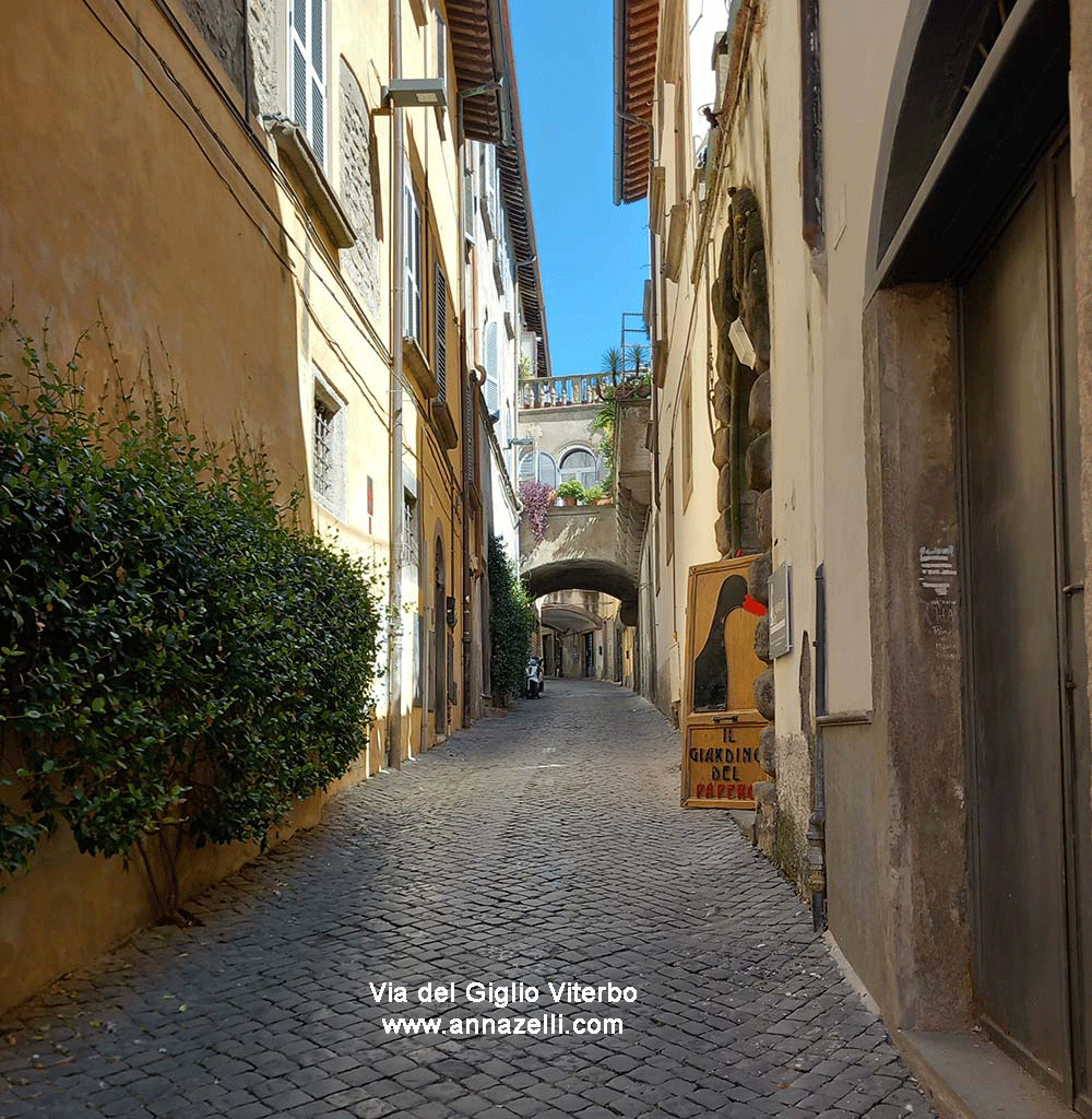 via del giglio viterbo centro traversa via mazzini info e foto anna zelli