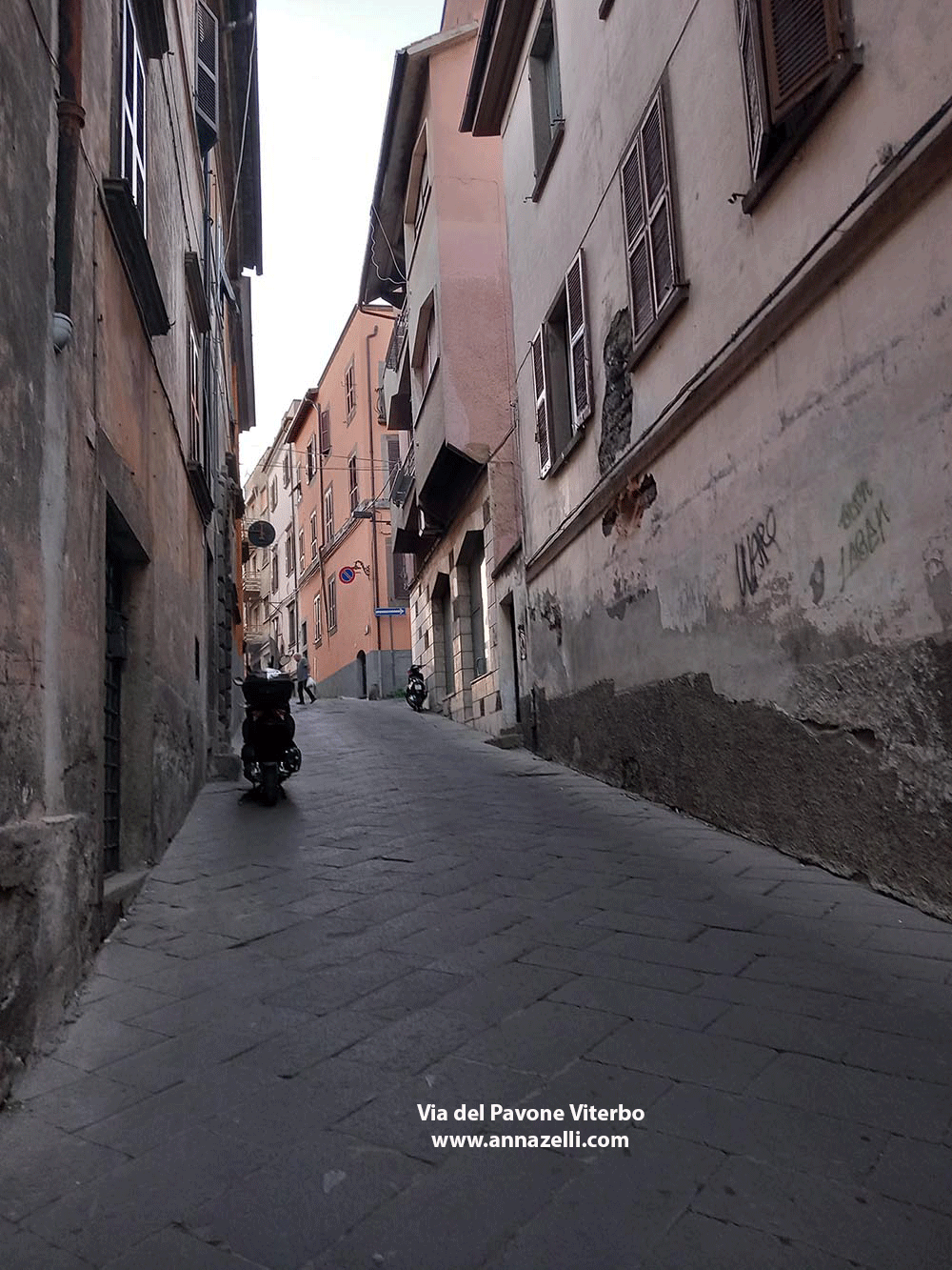 via del pavone viterbo centro storico info e foto anna zelli