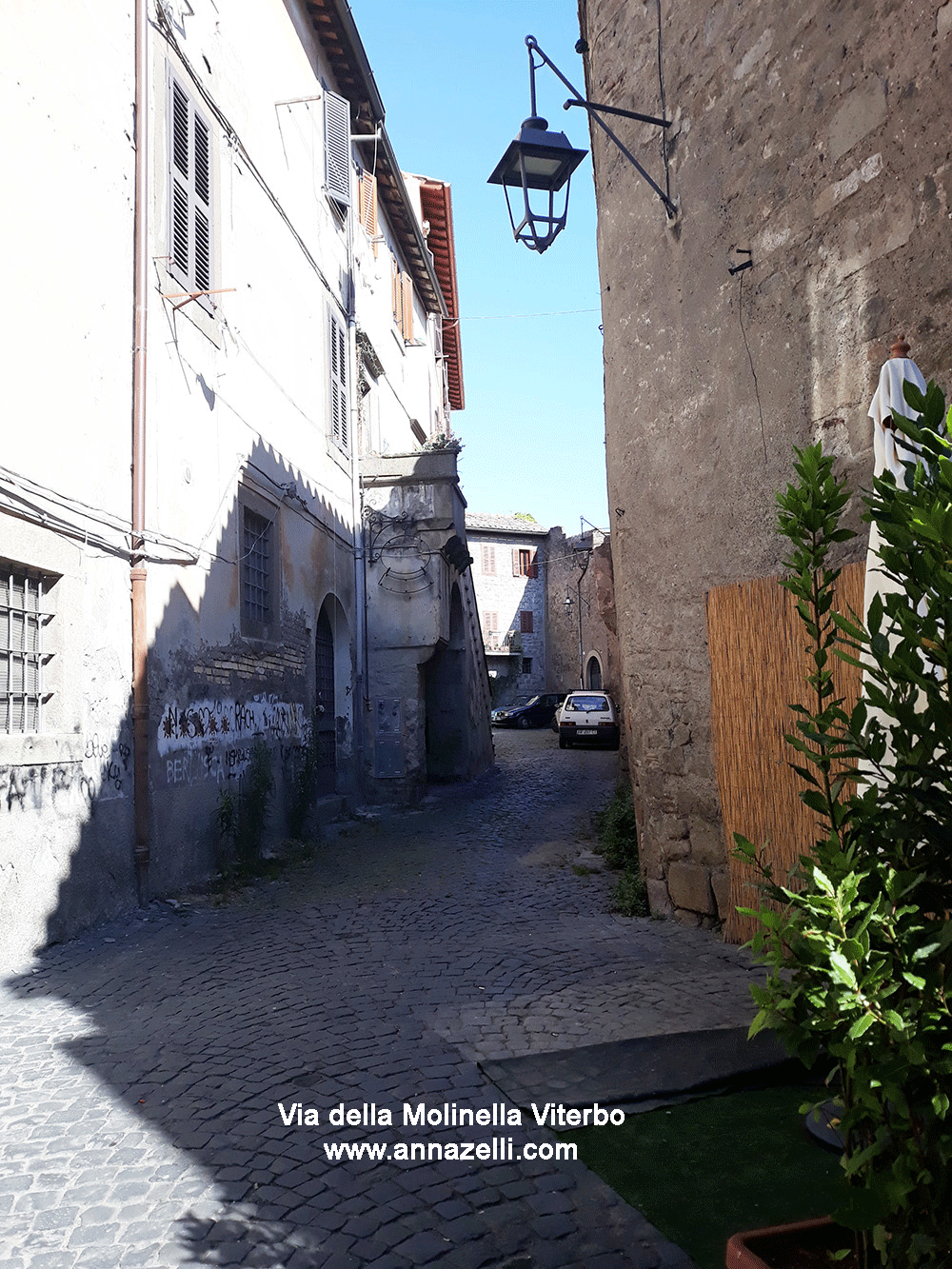 via della molinella viterbo info e foto anna zelli