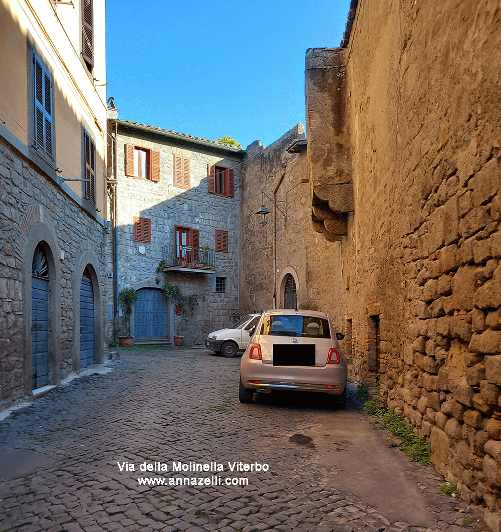 via della molinella viterbo info e foto anna zelli